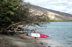 Fanatic Falcon Air Premium 2023 11 Fanatic Falcon Air Premium 2023 -Surfausrüstung Verkäufe 2024 fanatic falcon air premium 20235