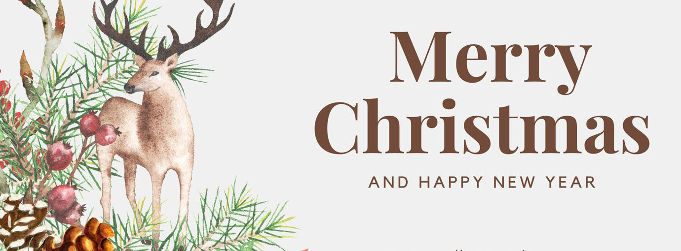 Tiernahrung Outlet Store -Surfausrüstung Verkäufe 2024 158 1